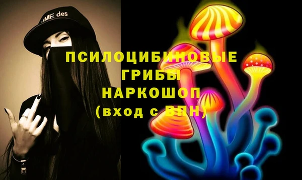 хмурый Михайловск