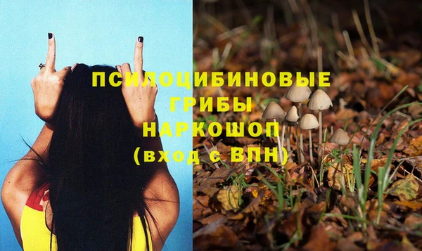 прущая мука Михайлов