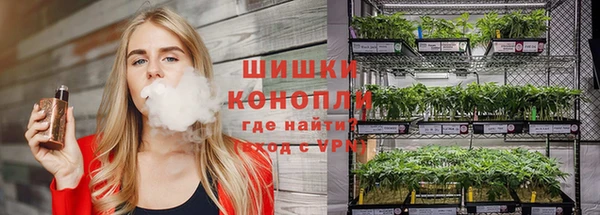 прущая мука Михайлов