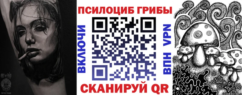 Псилоцибиновые грибы мицелий  Дно 