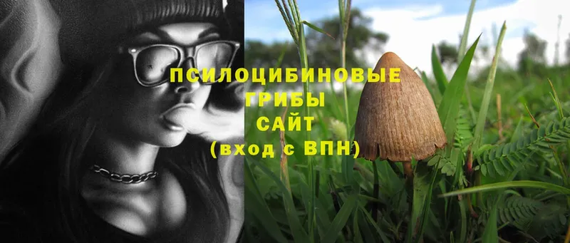 Галлюциногенные грибы Magic Shrooms  Дно 